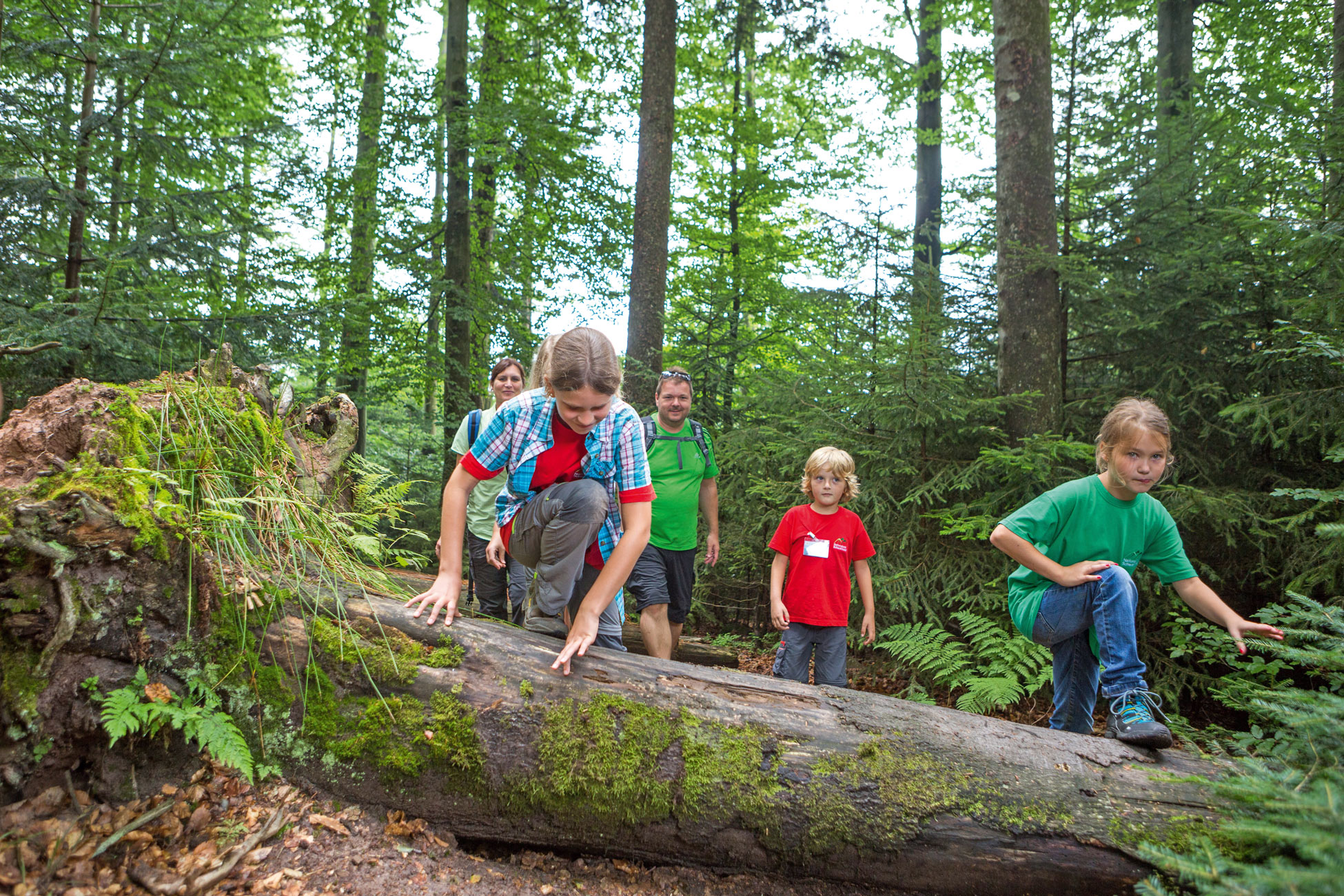 Familie mit kleinen Kindern auf Wildnispfad